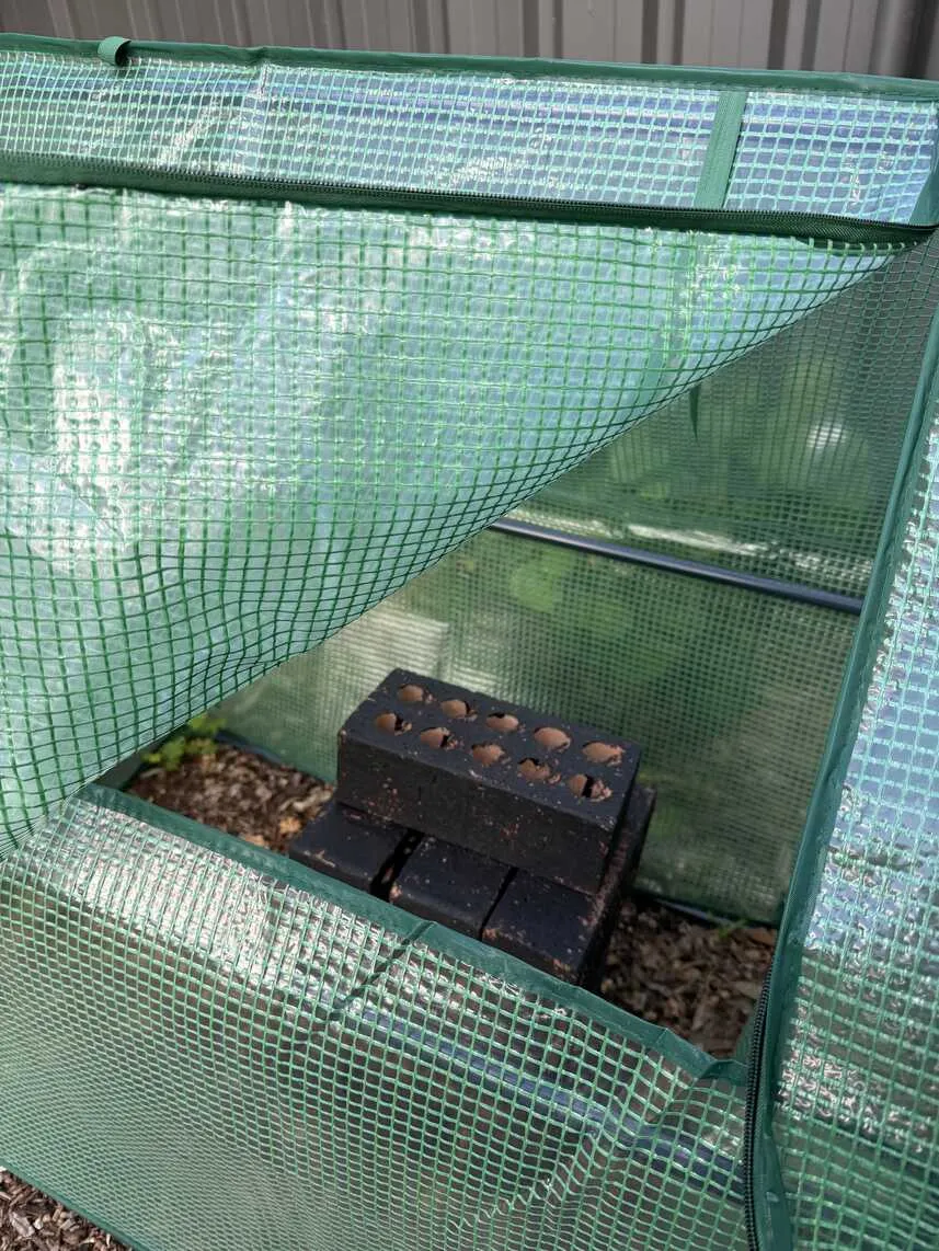 Frog spa with lid opened to show the painted bricks inside