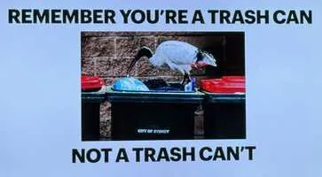 Slide: Remember you're a trash can, not a trash can't