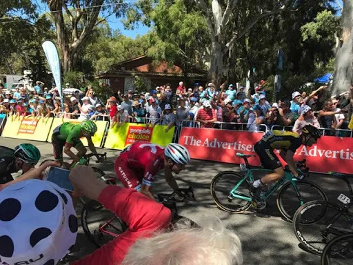 Pro riders racing to the finish