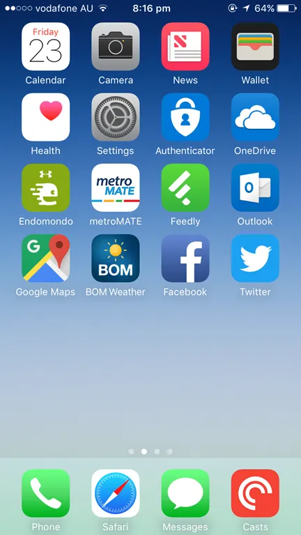 iPhone Screen Shot