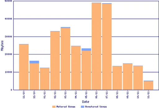 Graph of monthly internet usage