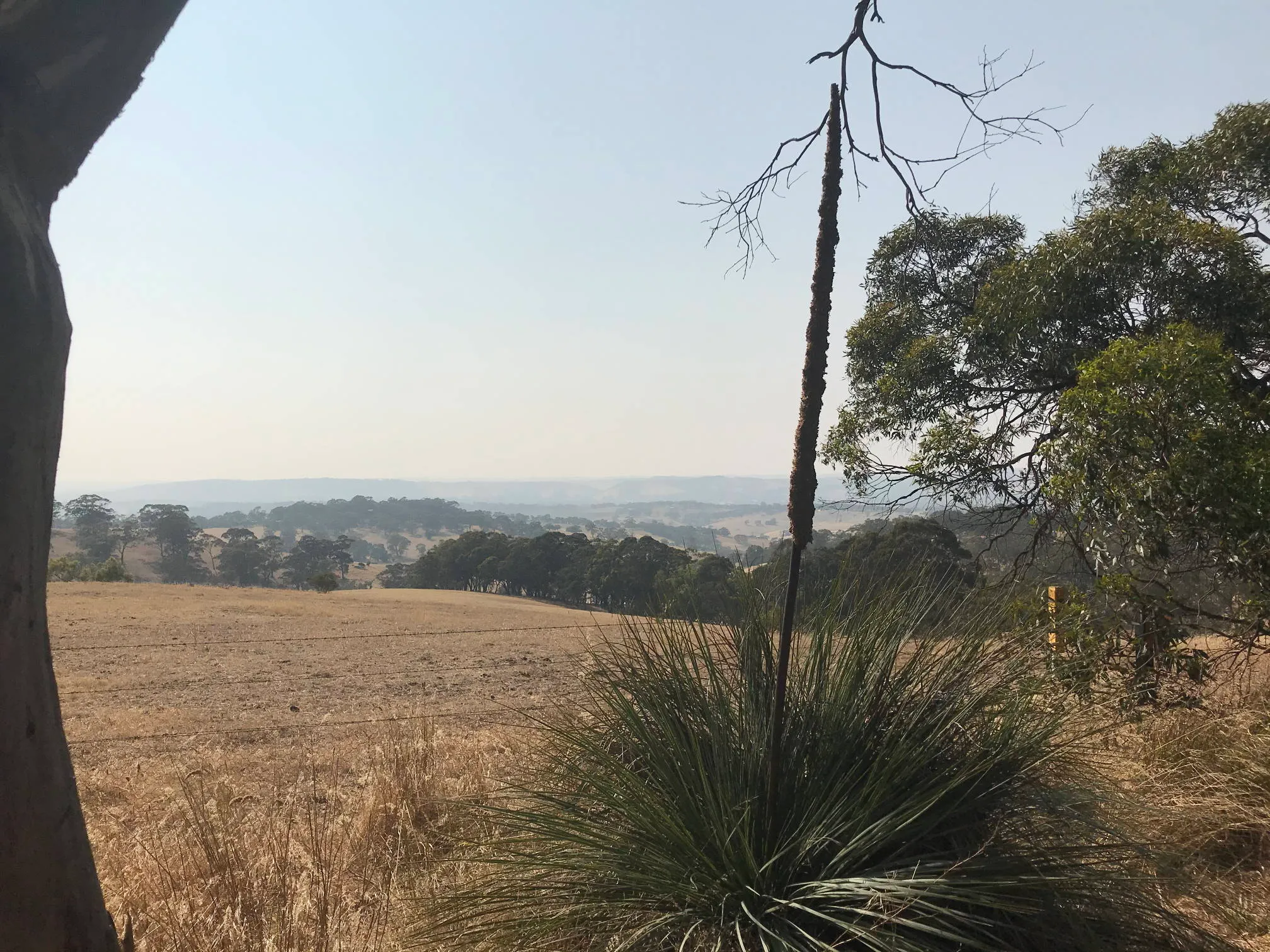 Dry paddocks with smoke haze