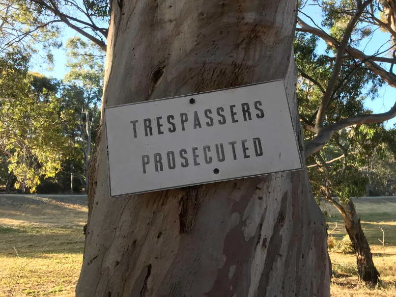 Sign on big old gum tree saying 'Trespassers Prosecuted'