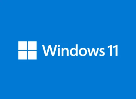 Windows 11 logo