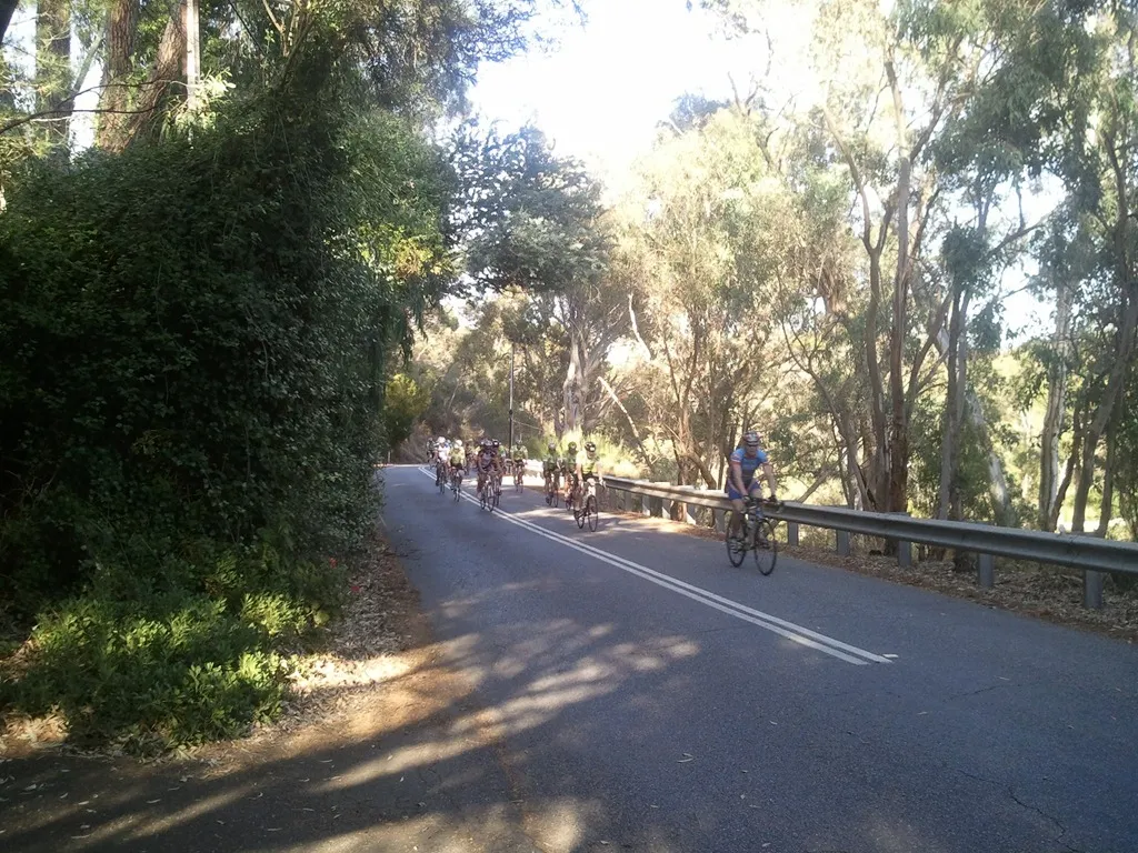 Cyclists riding uphill