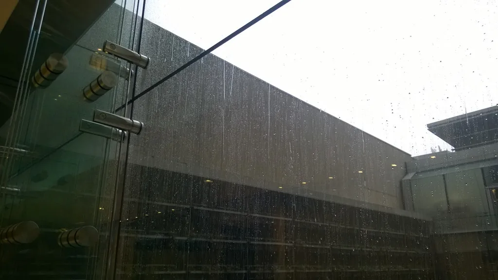 Rain on the window