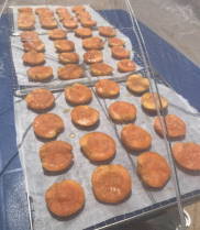 Apricots on trays drying in the sun