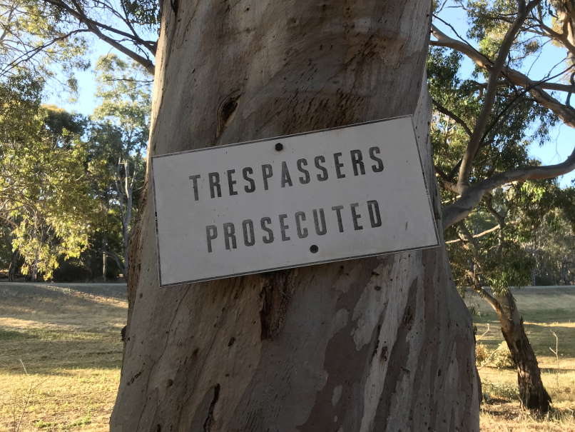 Sign on big old gum tree saying 'Trespassers Prosecuted'